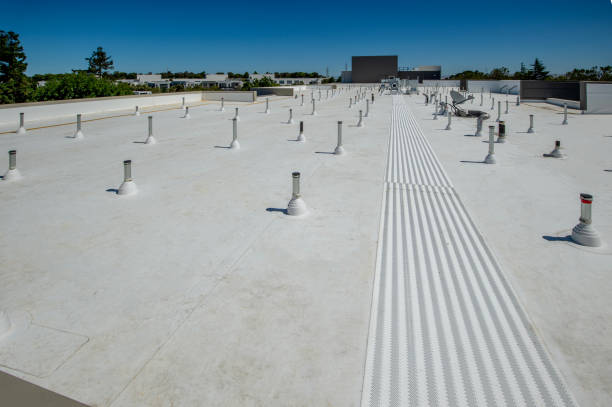Best Cold Roofs  in Oakville, MO