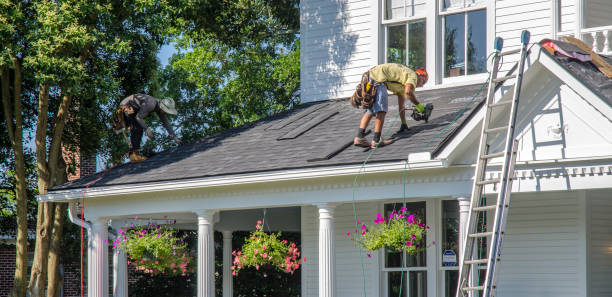 Best Chimney Flashing Repair  in Oakville, MO